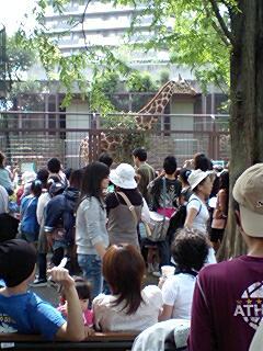 上野動物園 快晴で強風